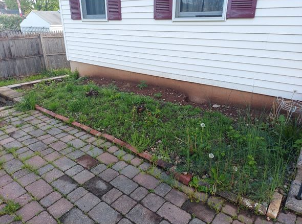 White house siding with three windows beside a brick path and a narrow strip of grass and weeds.