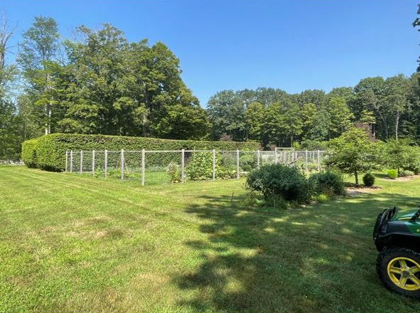 Sunlit grassy field with a white fence, trees in the background, and part of a green vehicle at right.