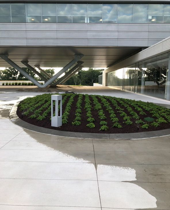 Circular flower bed under a modern building with glass railings and a covered walkway.