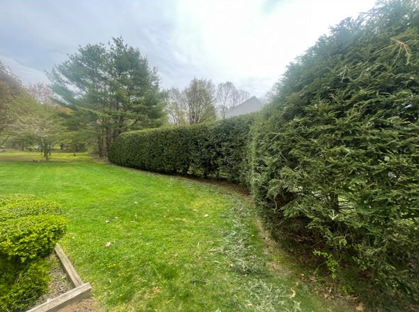 Backyard garden with green lawn, tall hedges, and trees under a cloudy sky