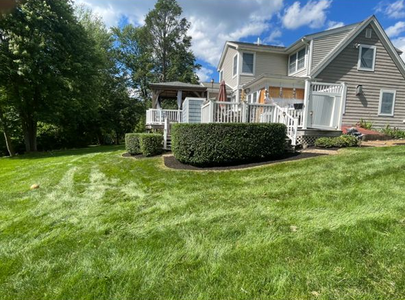 Suburban house with white siding and a screened porch behind a green lawn and trees