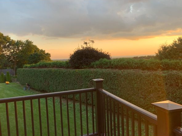 Sunset over a green field from a deck with wooden railing and a tree on the horizon