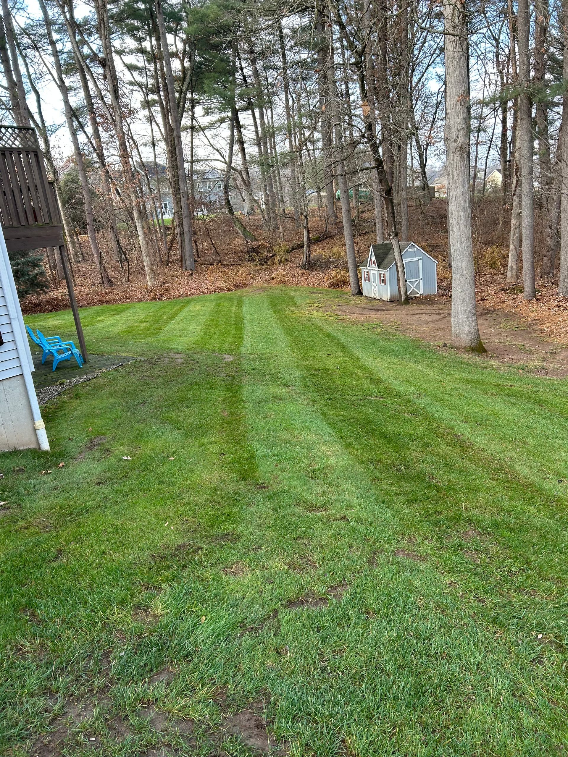 Lawn with freshly cut stripes. A small shed and trees are in the background. Green grass and fall foliage.
