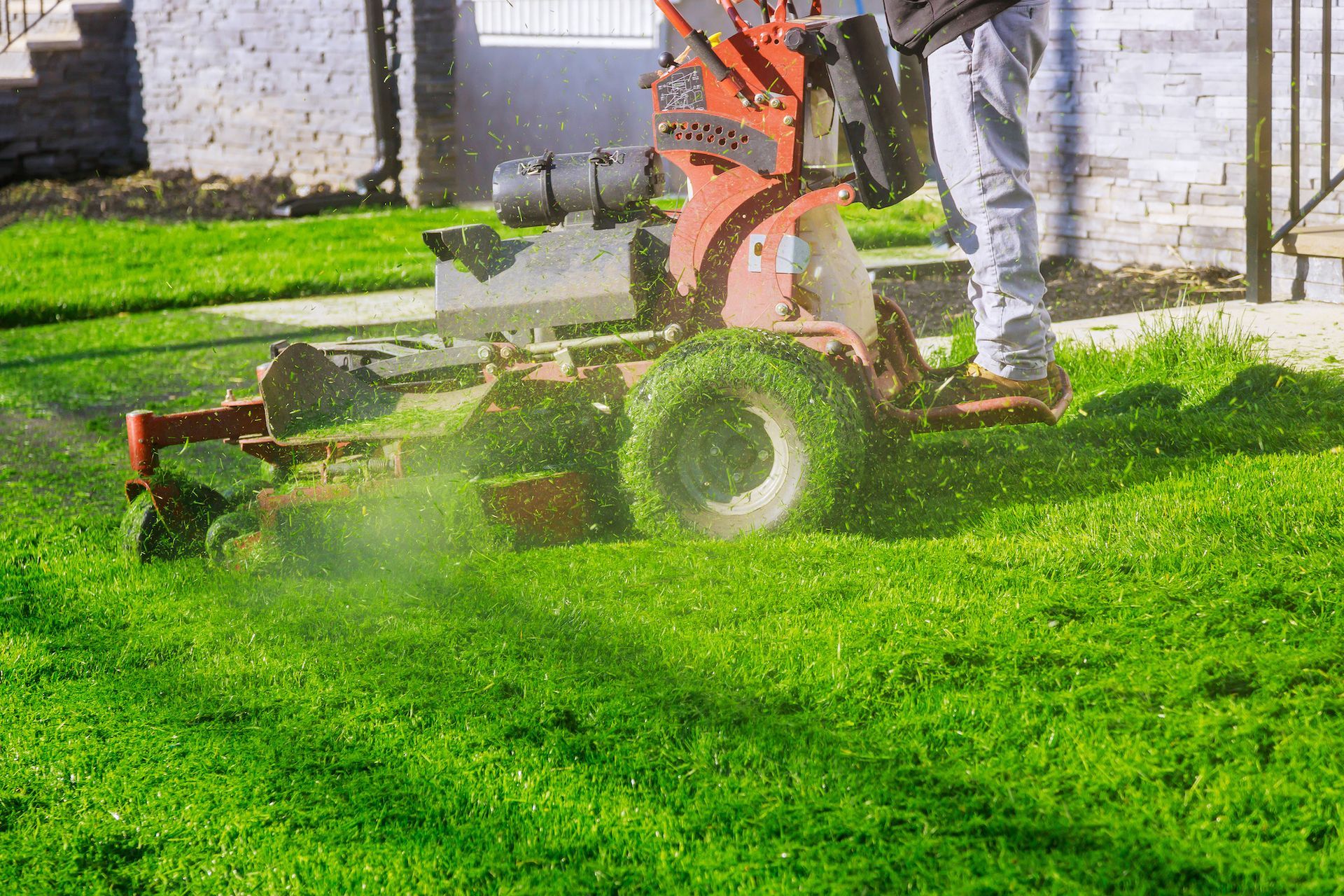 Lawn mower cutting green grass in a yard. Operator is visible. Bright, sunny day.