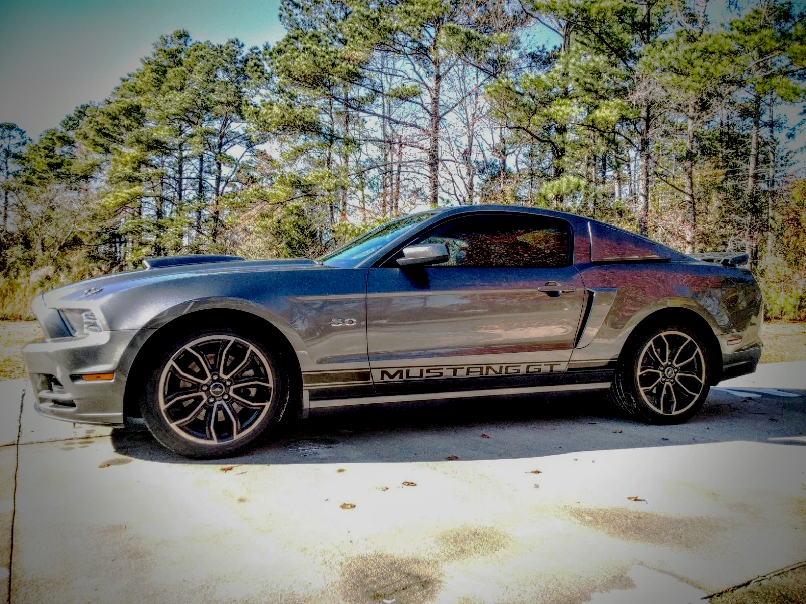 Black and silver sports car parked on a sunny road with pine trees in the background