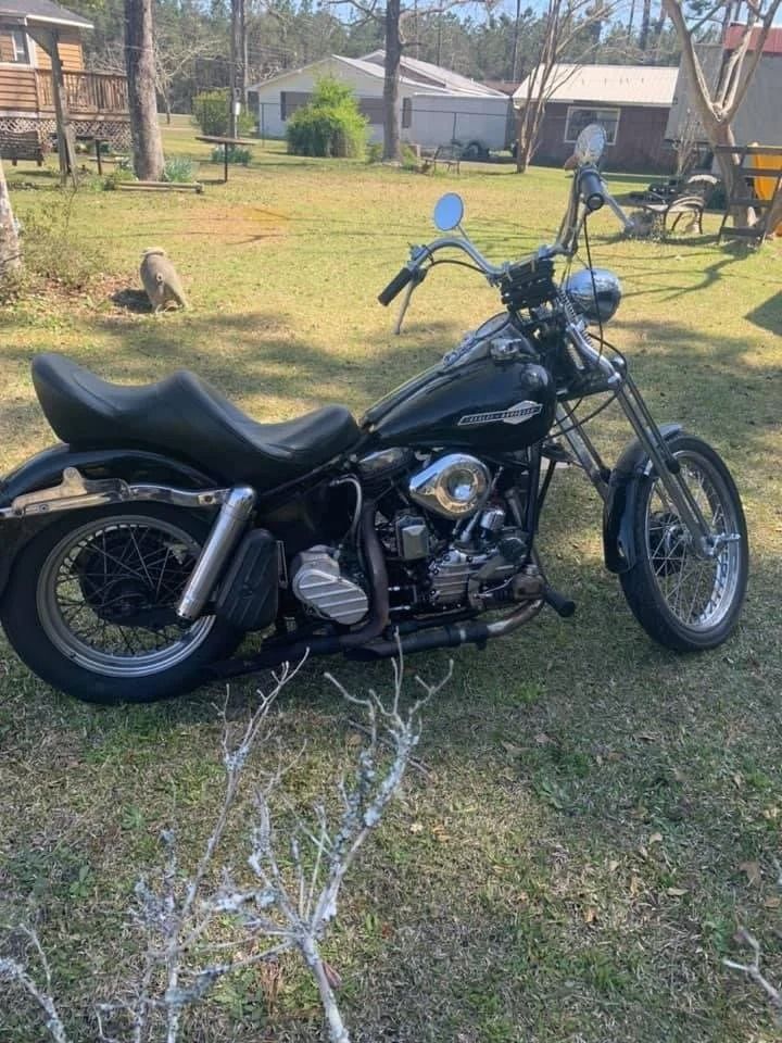 Black cruiser motorcycle parked on grass in a backyard, with a house and trees in the background