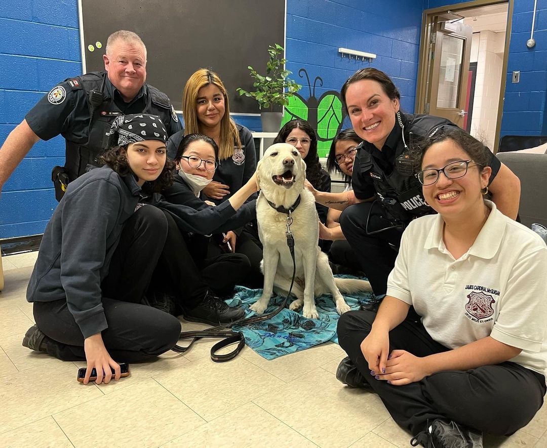 Dandy the Trauma Dog visits James Cardinal McGuigan