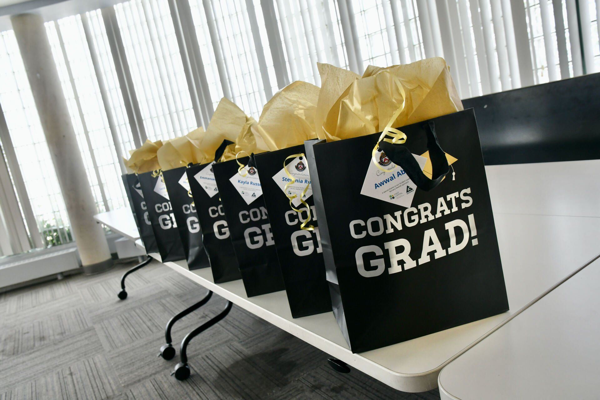 gift bag