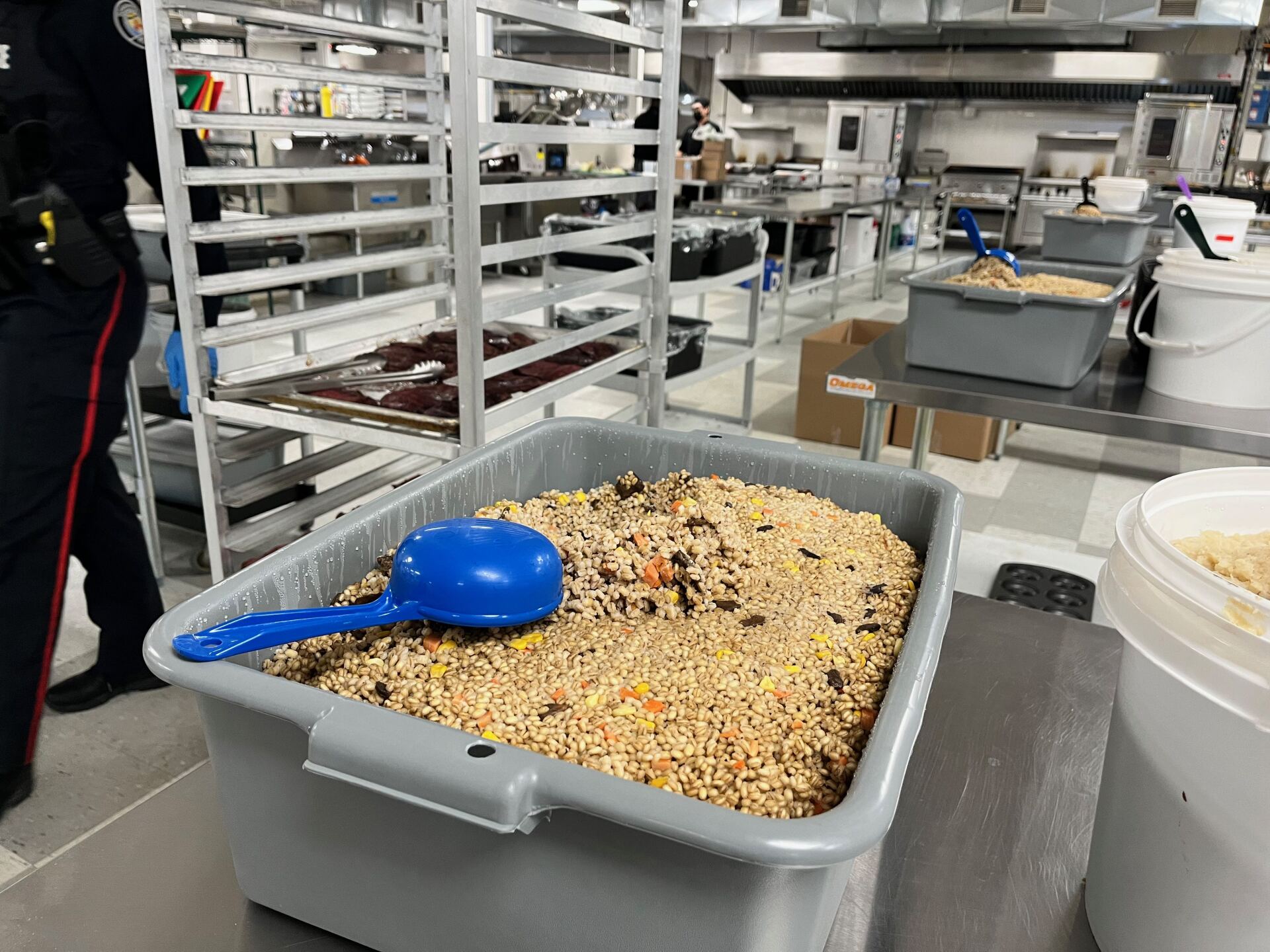 Container of barley