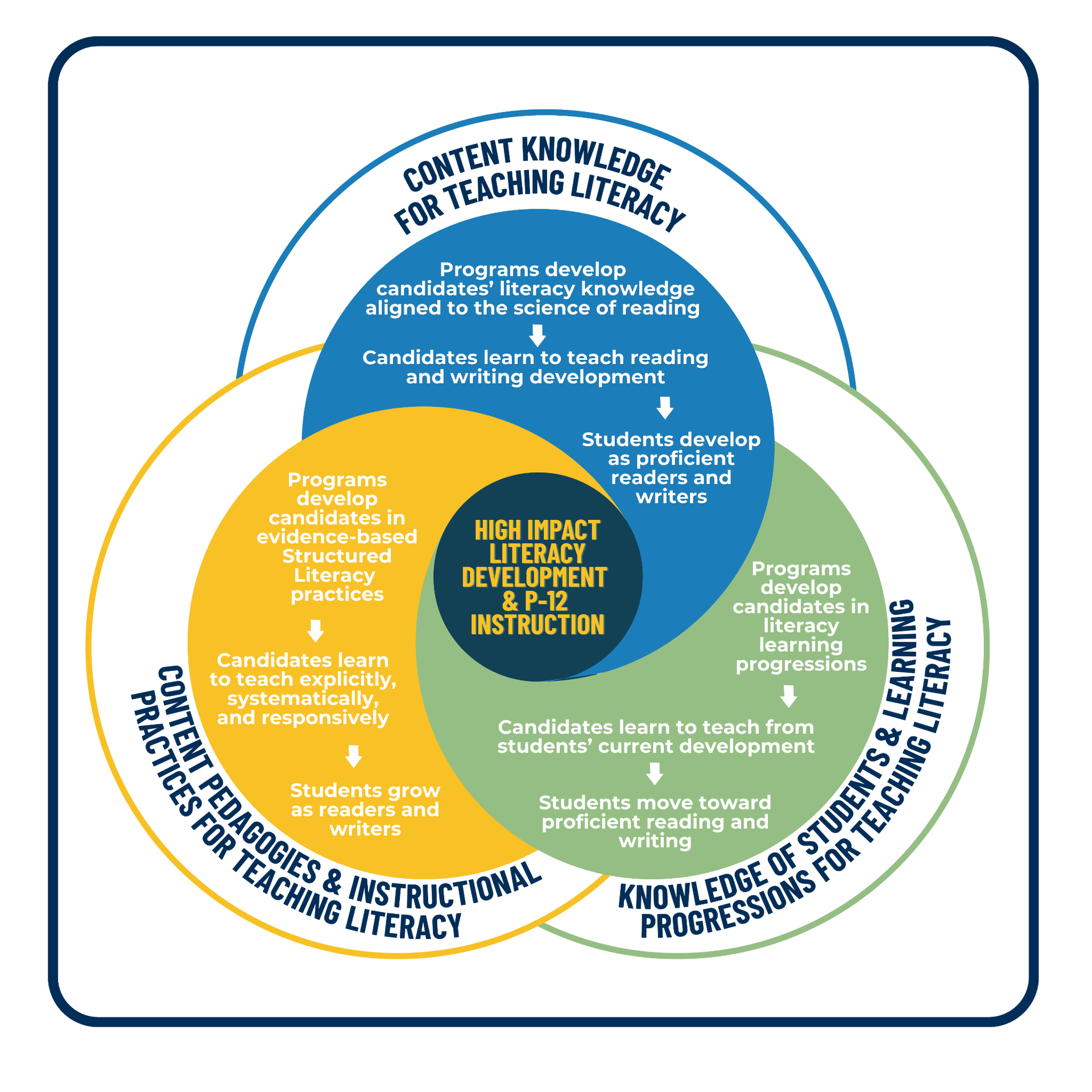 Three connected dimensions of literacy preparation: content knowledge for teaching literacy; knowledge of students and learning progressions; and content pedagogies and instructional practices, all centered on high-impact literacy development and P-12 instruction.