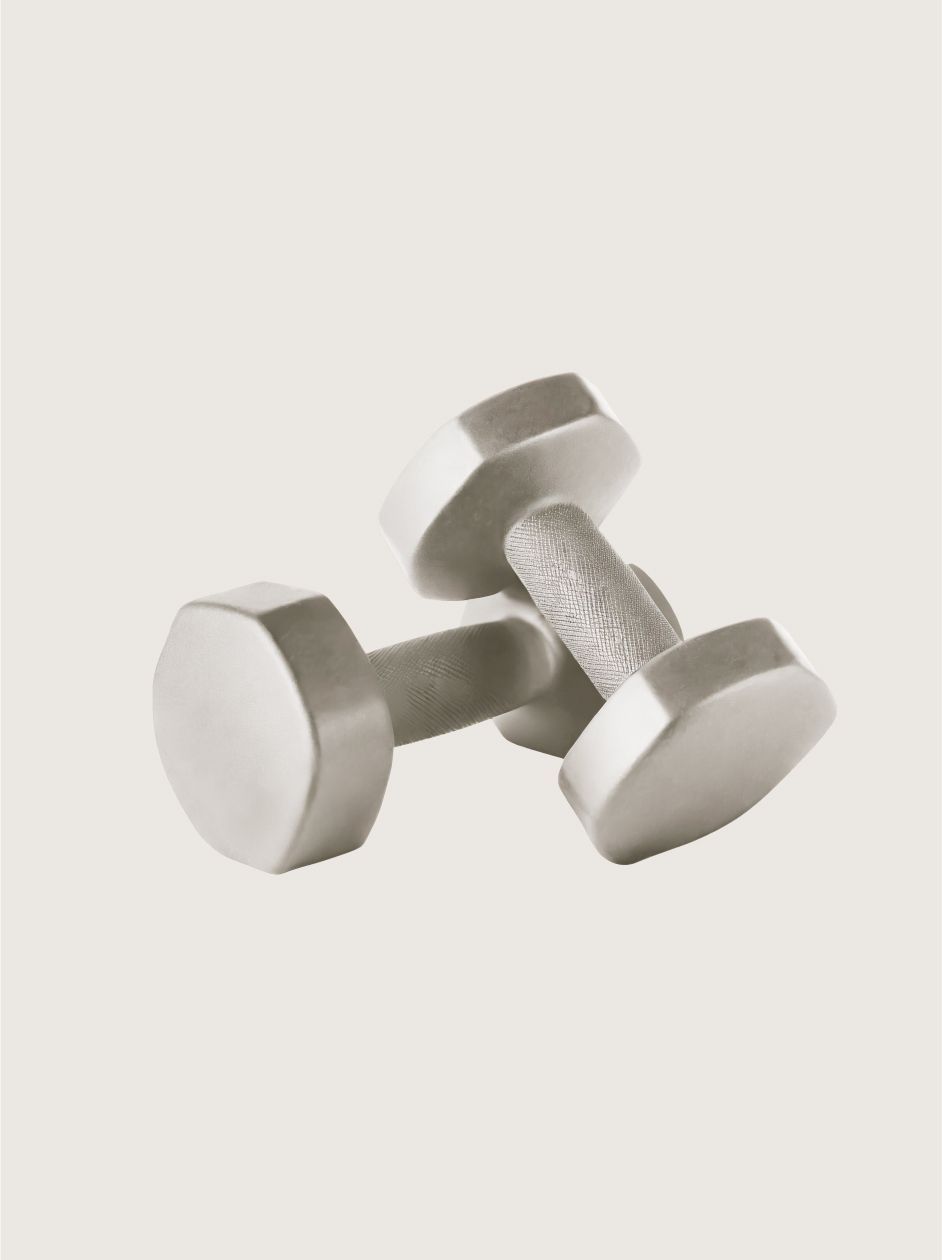 Two silver dumbbells, resting on a neutral background.