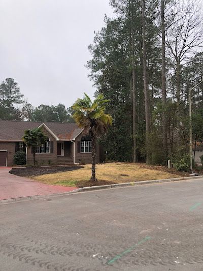 A house with a palm tree in front of it is surrounded by trees.