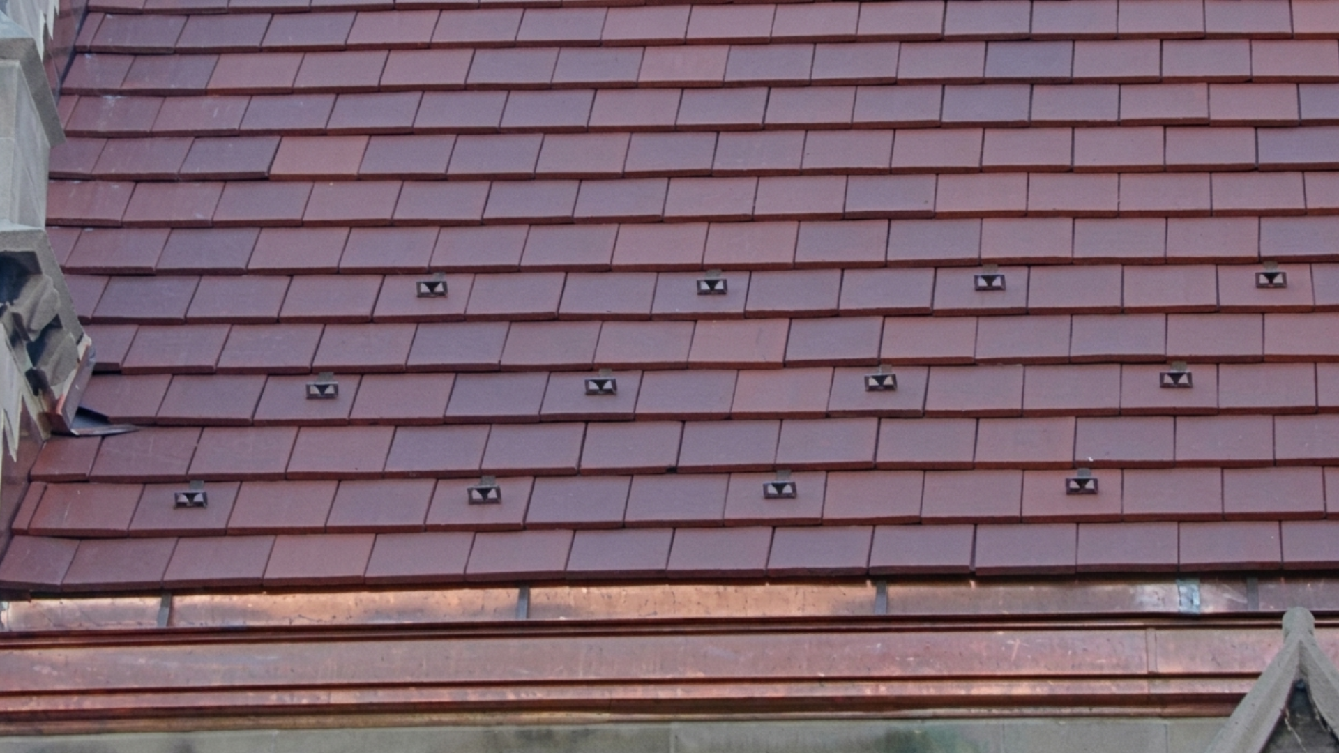 Red tiled roof with several small black birds perched across the shingles