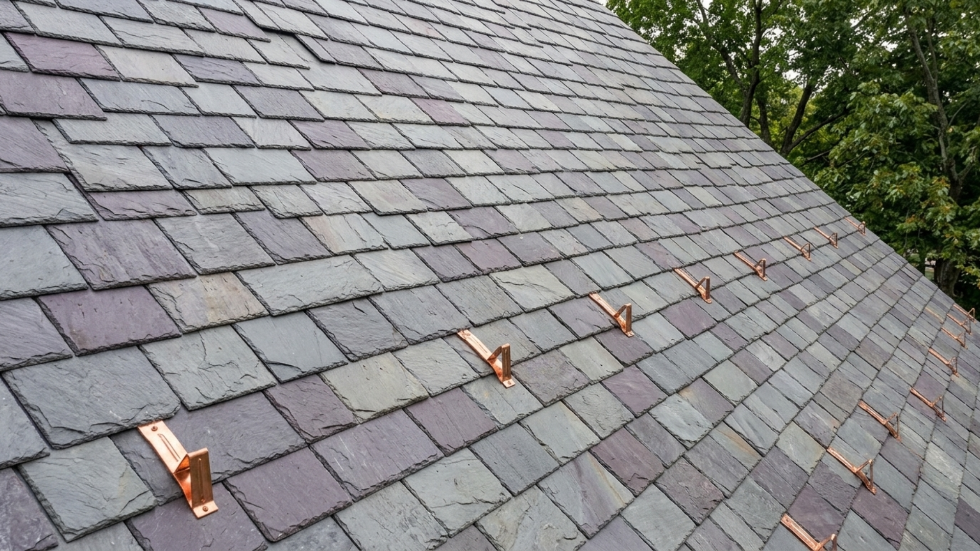 Slate roof with scattered copper pipe flashings and a few leaves on the shingles