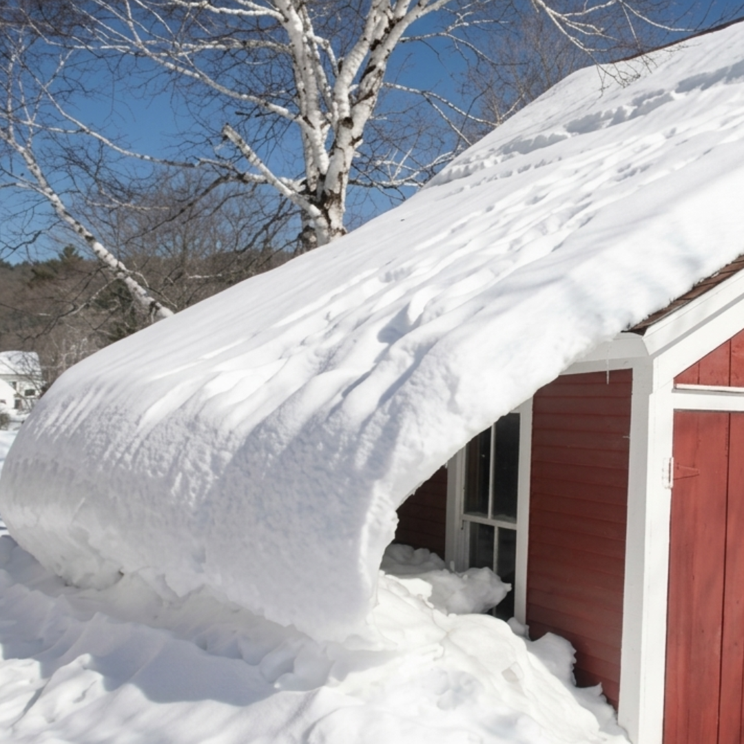 Red barn roof buried under deep snow beside a snow-covered tree on a bright winter day