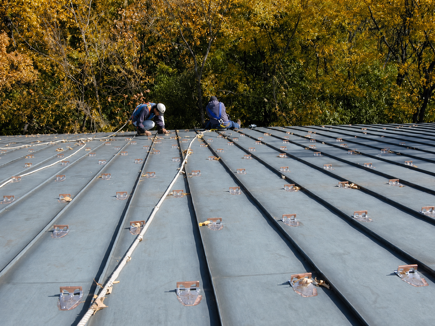 Two workers on a gray metal roof with autumn trees in the background