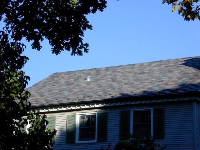 House roof and upper windows under a clear blue sky, framed by dark tree branches
