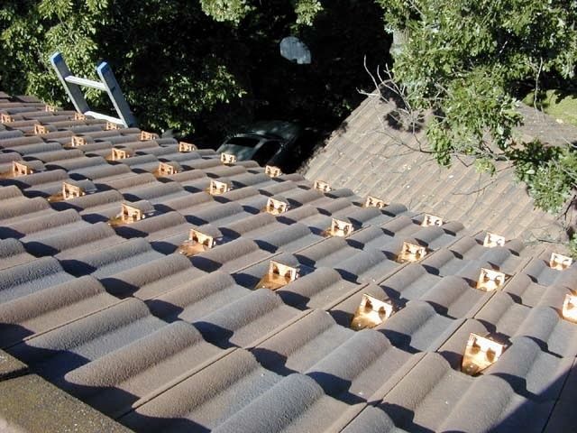 Blue tiled roof with many small yellow bird spikes, bordered by trees and a sloped roof edge