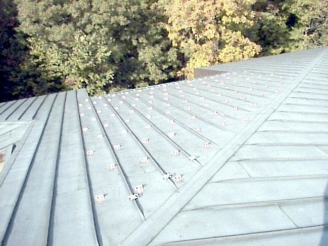 Metal roof with diagonal seams and trees in the background