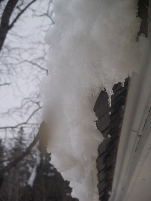 Snow piled on the edge of a roof with bare trees in the background