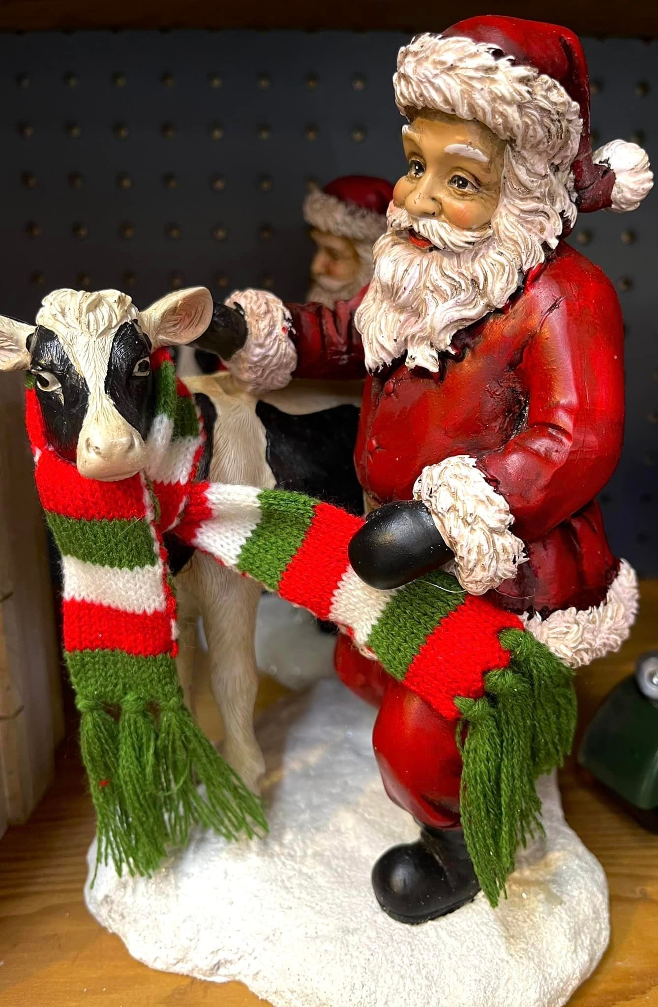 A Santa Claus figurine stands on snow, wrapping a red, white, and green striped scarf around a black and white calf.