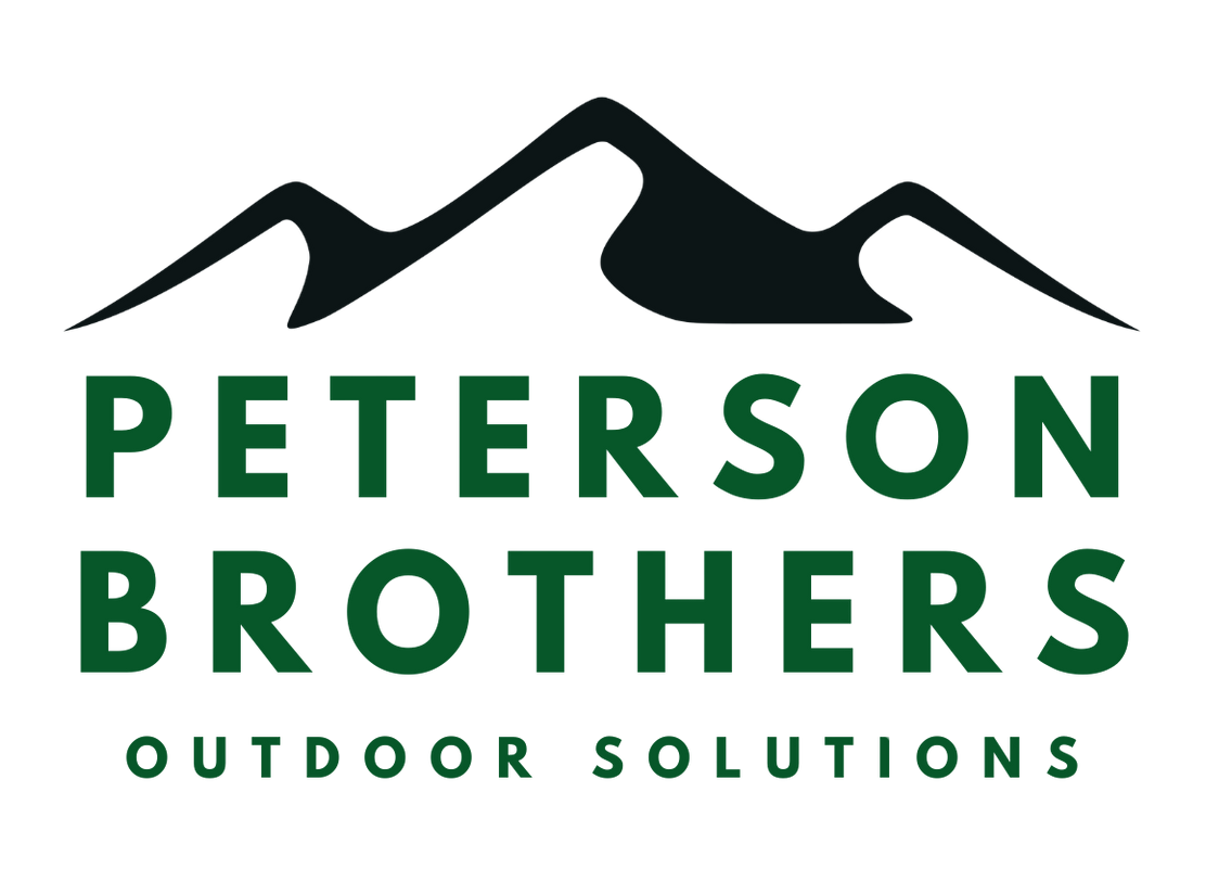 Logo of