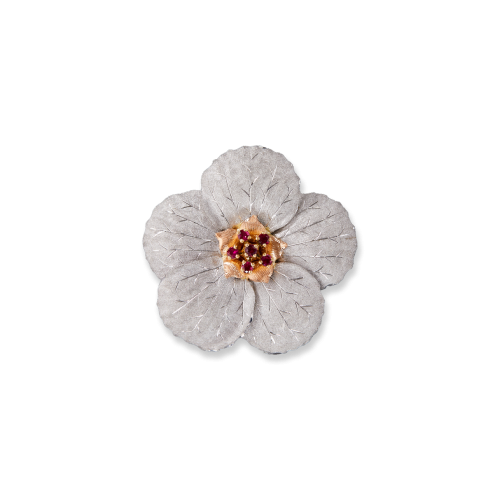 Un fiore bianco con un centro rosso su uno sfondo bianco