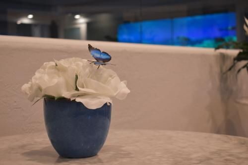 A vibrant blue butterfly rests on a bouquet of white flowers in a blue vase, set on a table before a blue-lit background.