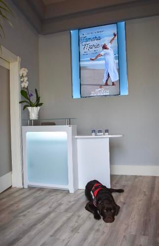 A black dog wearing a red harness lies on a light wood floor in front of a white reception desk with a digital display.