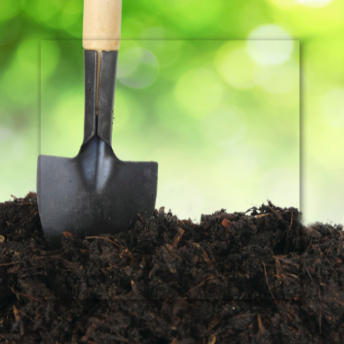 Shovel in a pile of dark soil, with a blurred green background.