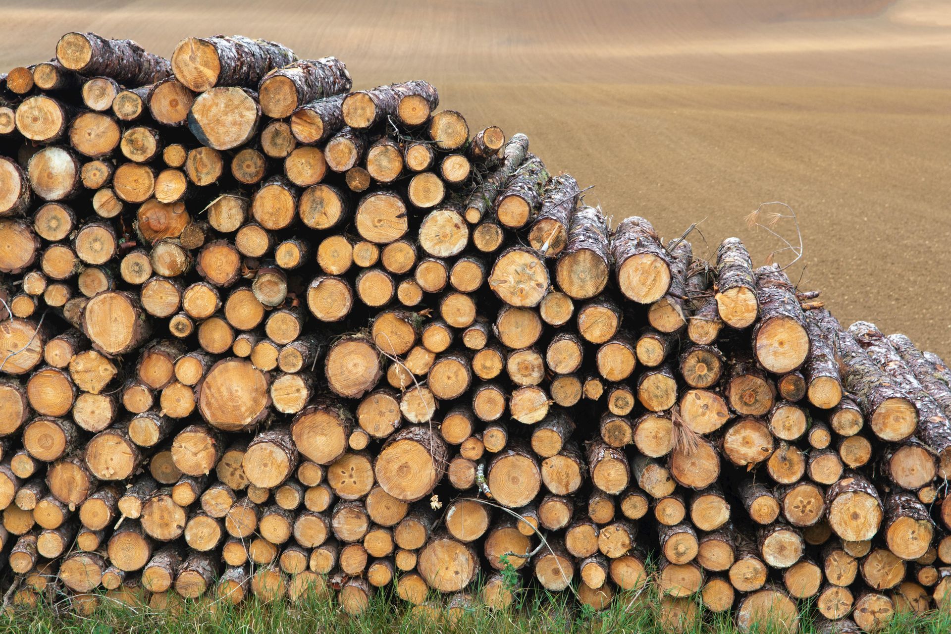Firewood processor for sale
