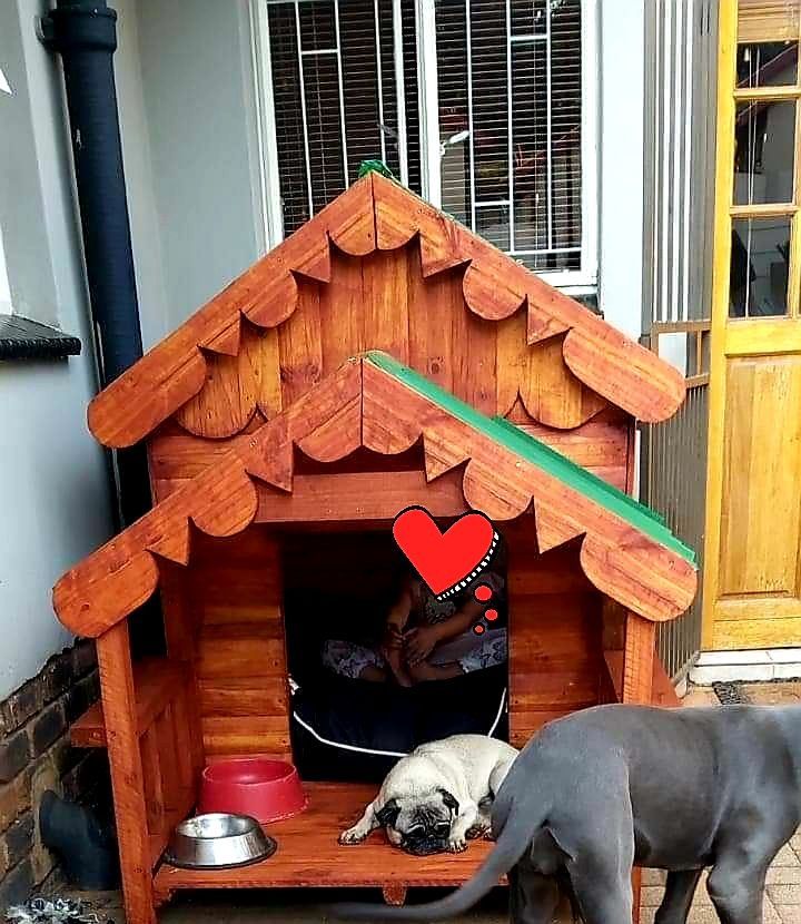 Two dogs are standing in front of a wooden dog house