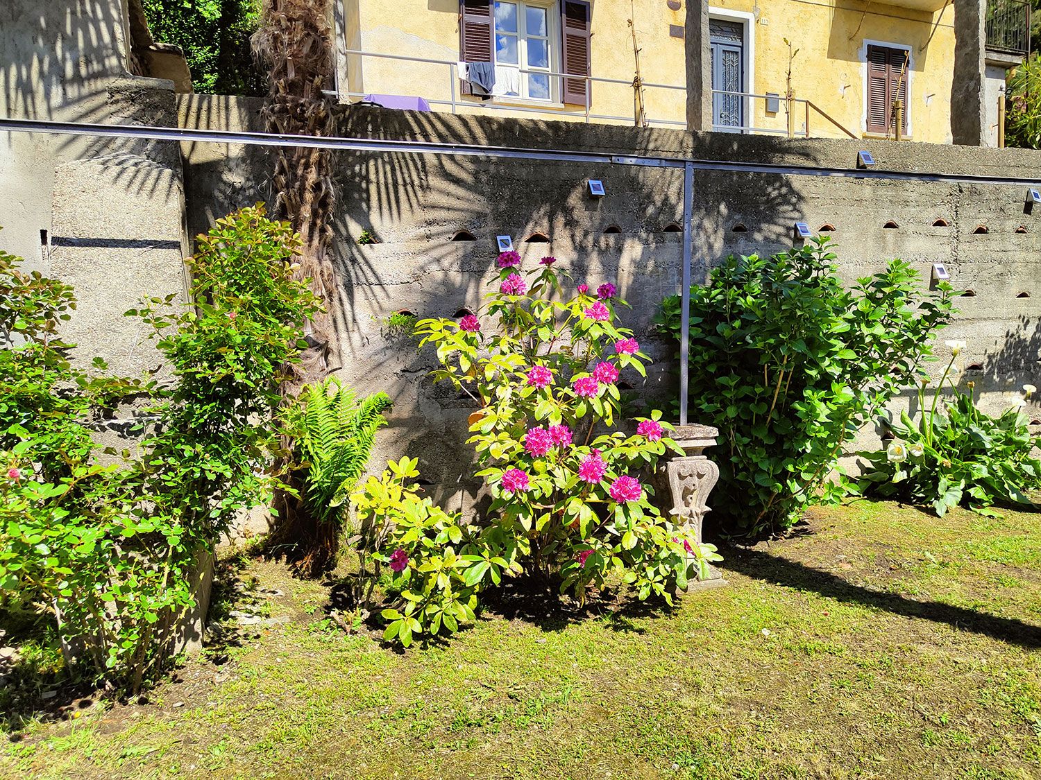 arbusti da fiore