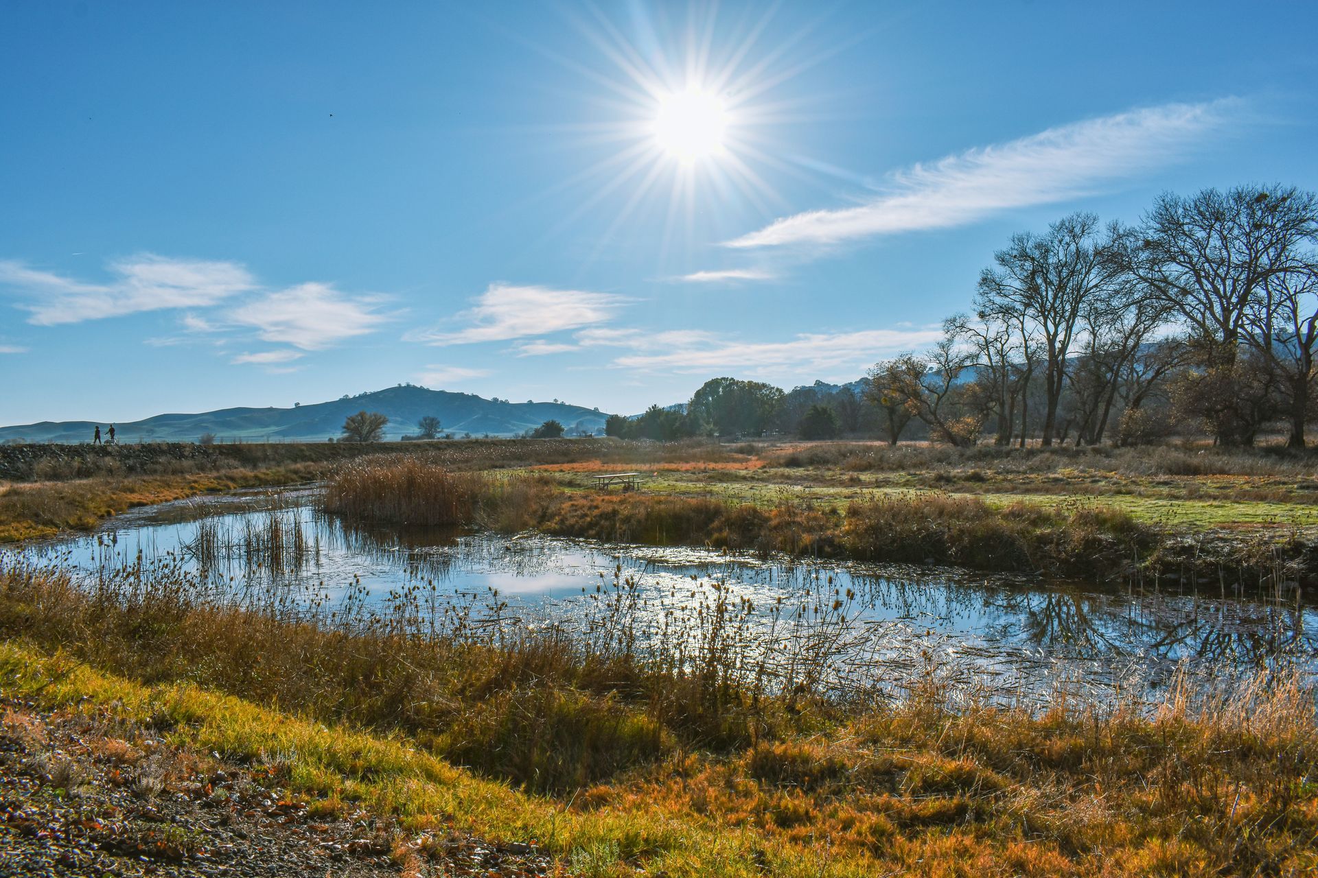 The sun is shining brightly over a river in a field.