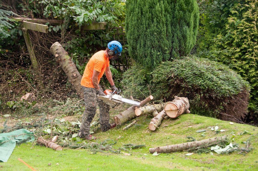 Man in orange shirt, helmet, cutting fallen tree with chainsaw in backyard.