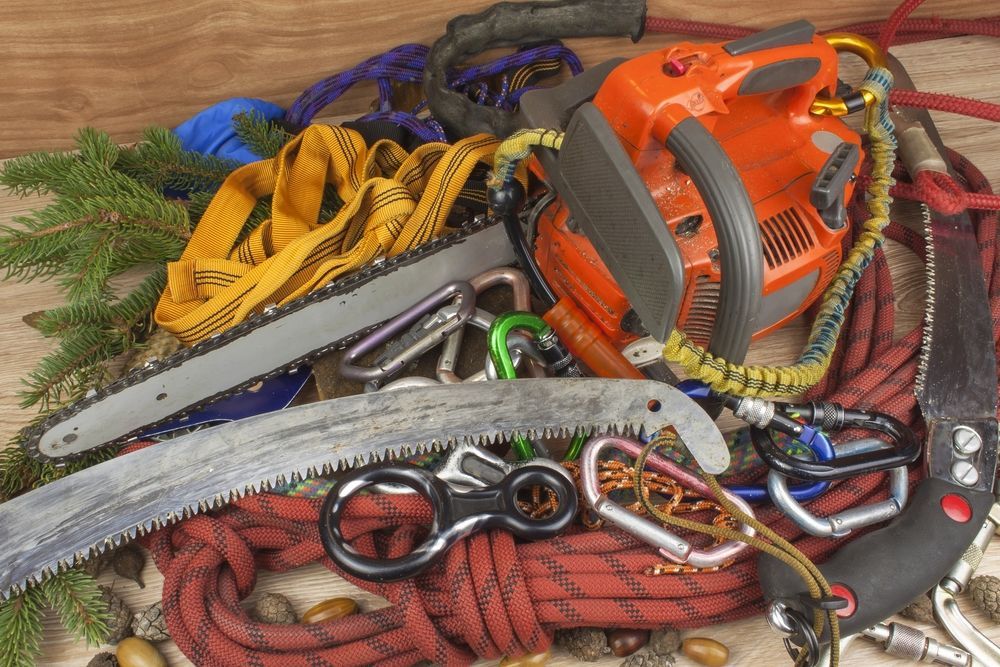 Orange chainsaw, tree saw, ropes, and carabiners; climbing and tree-cutting gear.