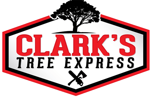 Clarks Tree Express
