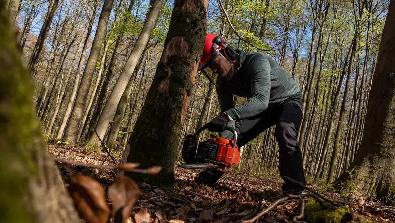 A man is cutting a tree with a chainsaw in the woods.
