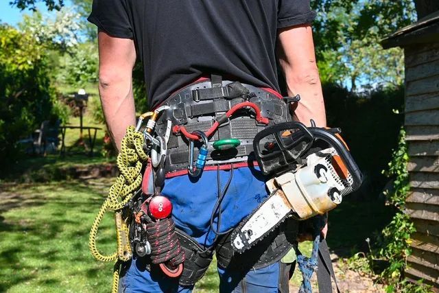Person wearing safety harness with chainsaw, standing outdoors.