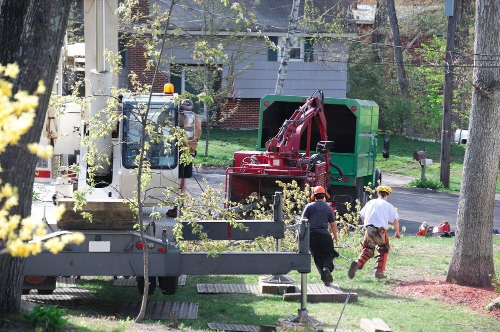 Tree service in progress: crew members, crane, wood chipper, and truck on a residential lawn.