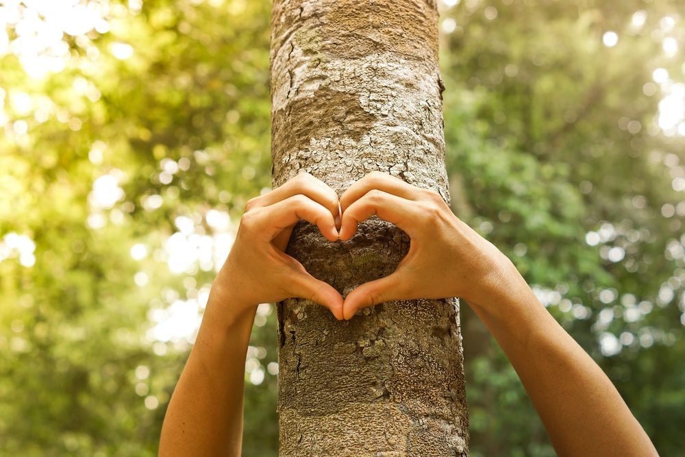 Hands forming a heart around a tree trunk, with a blurred green background.