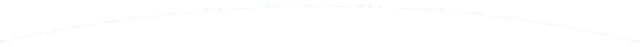 Thin horizontal light-gray bar on a white background, resembling a divider line