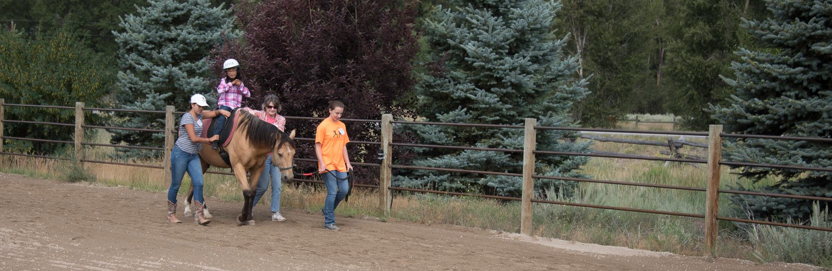 People walk alongside a person riding a horse in a dirt arena surrounded by evergreen trees and wooden fencing.