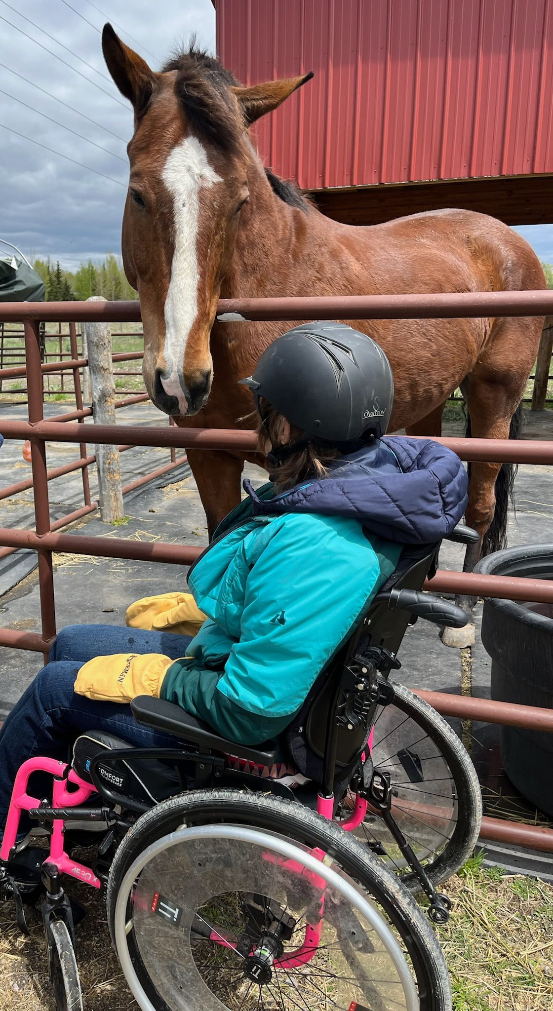 Child in helmet pets a horse while woman watches, outside a barn.