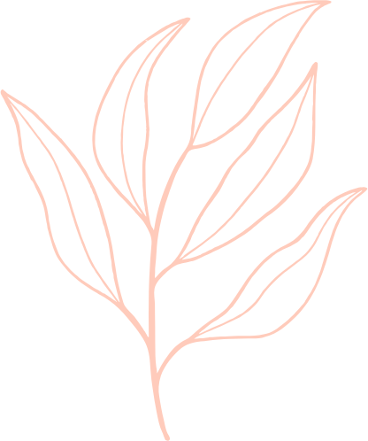 Pale pink outline of a plant branch with multiple oval-shaped leaves.