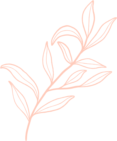 Pink outline of a branch with elongated leaves, on a white background.