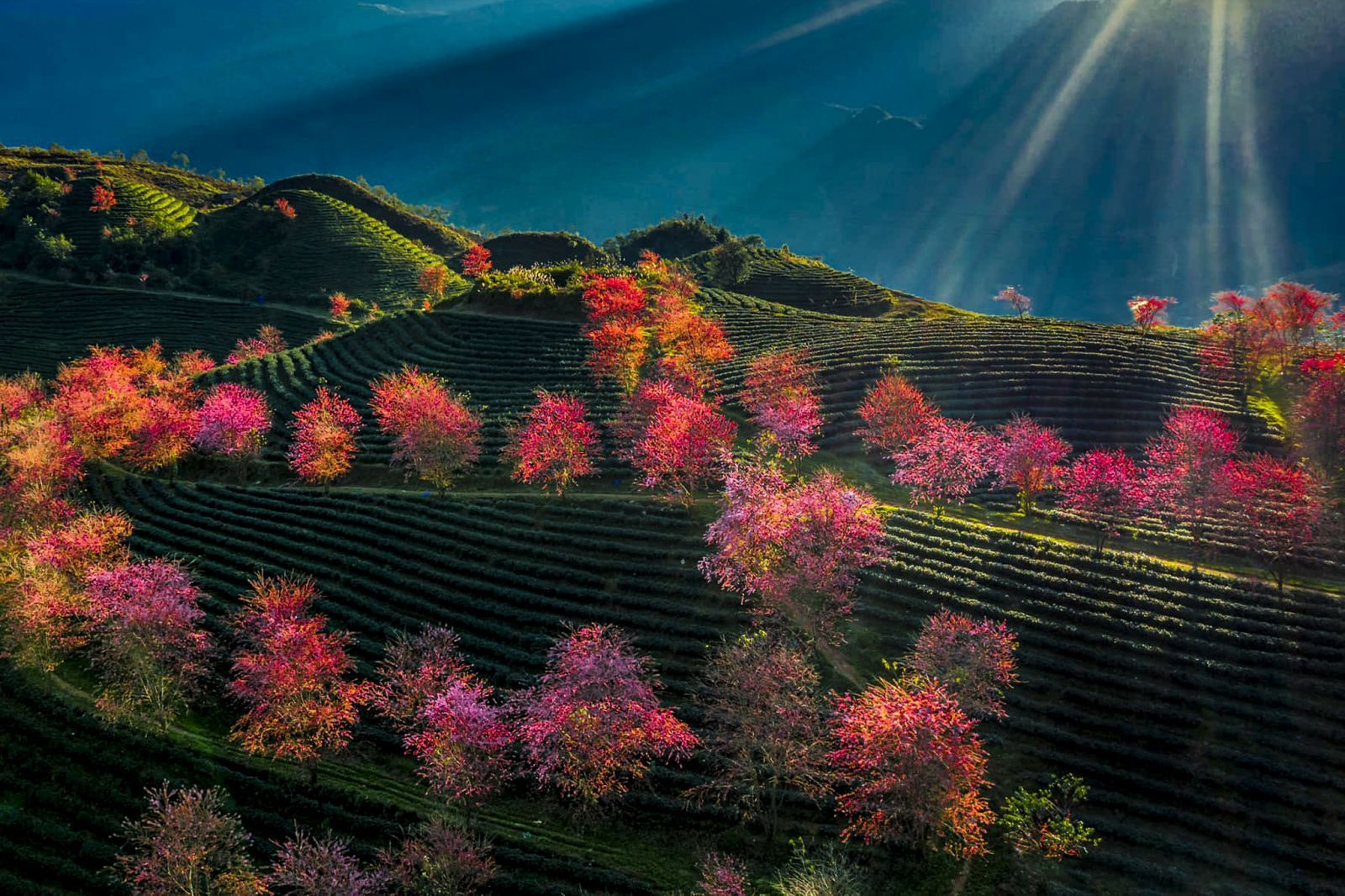 Vietnam Travel Tips  10
