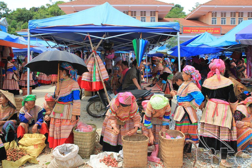 Visit Bac Ha Market Visit Bac Ha Market