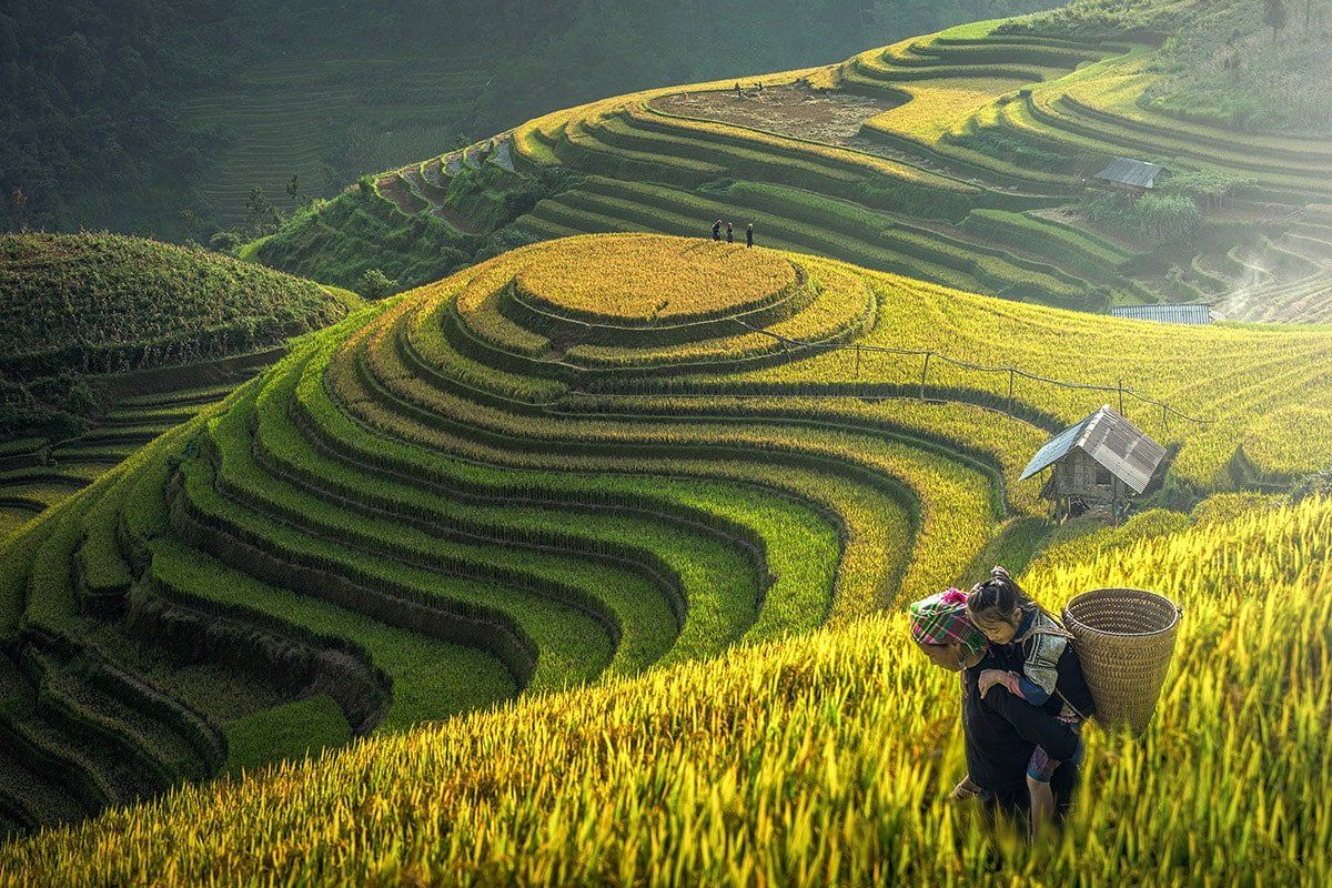 Top 10 Must-Visit Destinations in Vietnam – A Complete Travel Guide