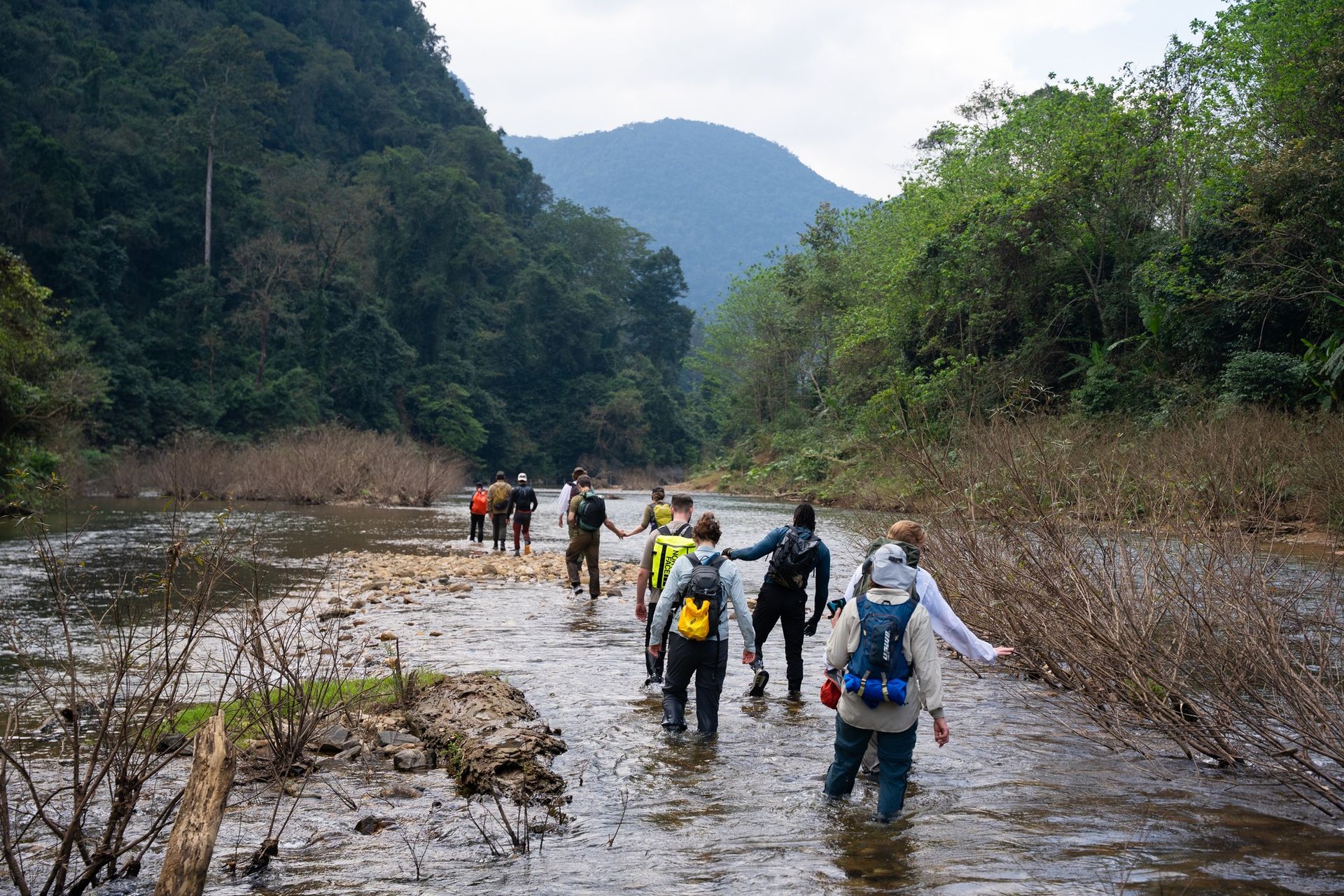 2. Jungle Trekking & Adventure Tours 2. Jungle Trekking & Adventure Tours